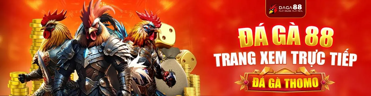 Đá Gà Trực Tuyến Hấp Dẫn tại vndwin bet