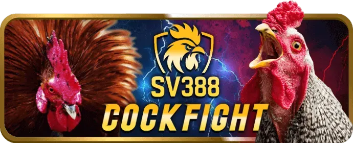 Hình ảnh video slot hiện đại với đồ họa 3D và nhiều tính năng bonus